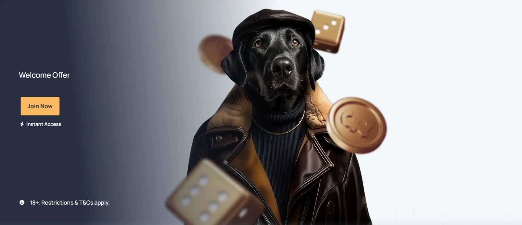 Spindog Casino Casino Gaming